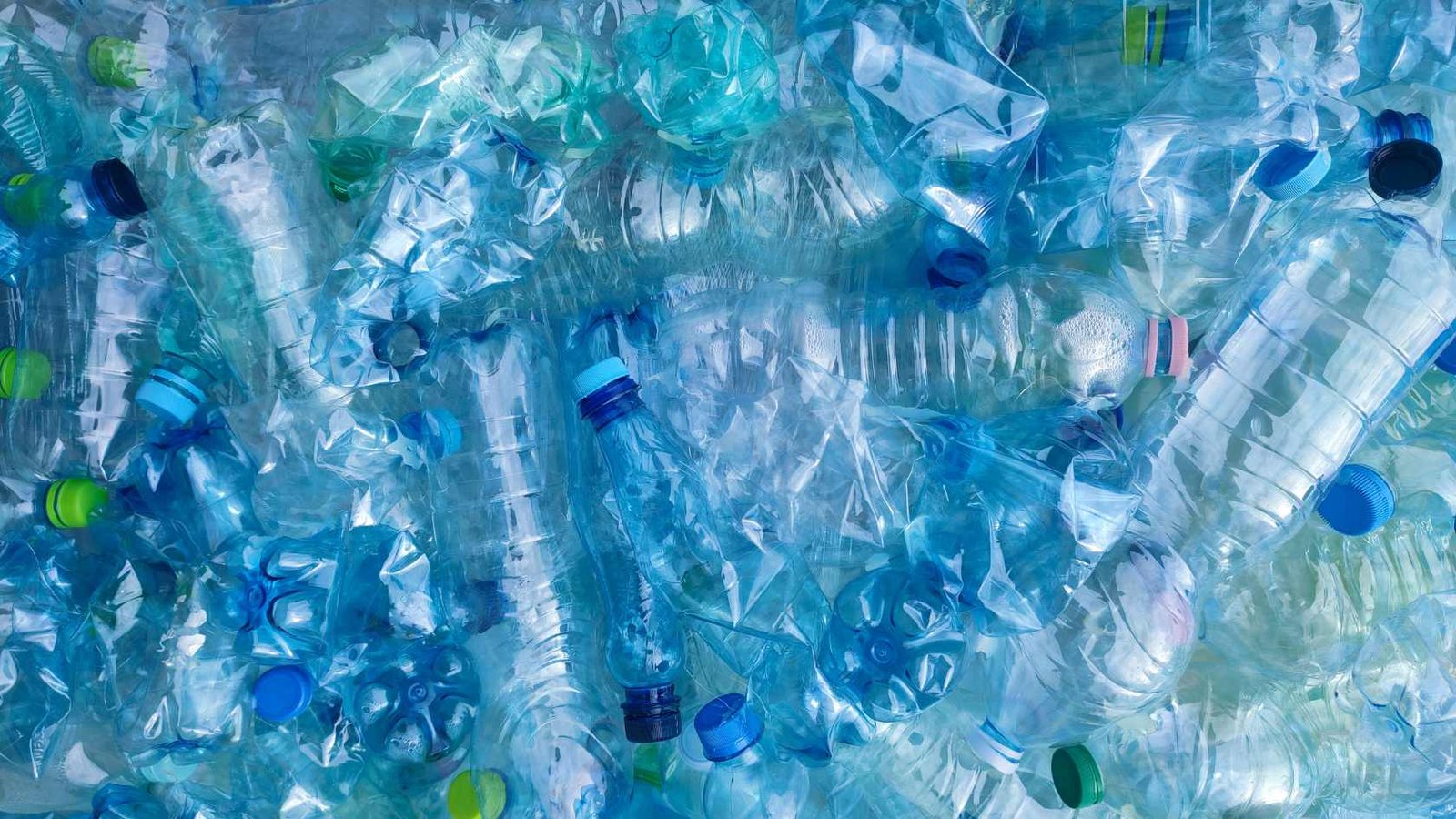 Discover the process and benefits of PET plastic recycling